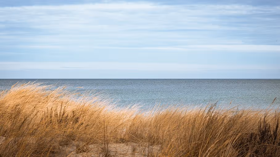 7️⃣ Poddąbie – dzikość i spokój 🌾🌊🐦