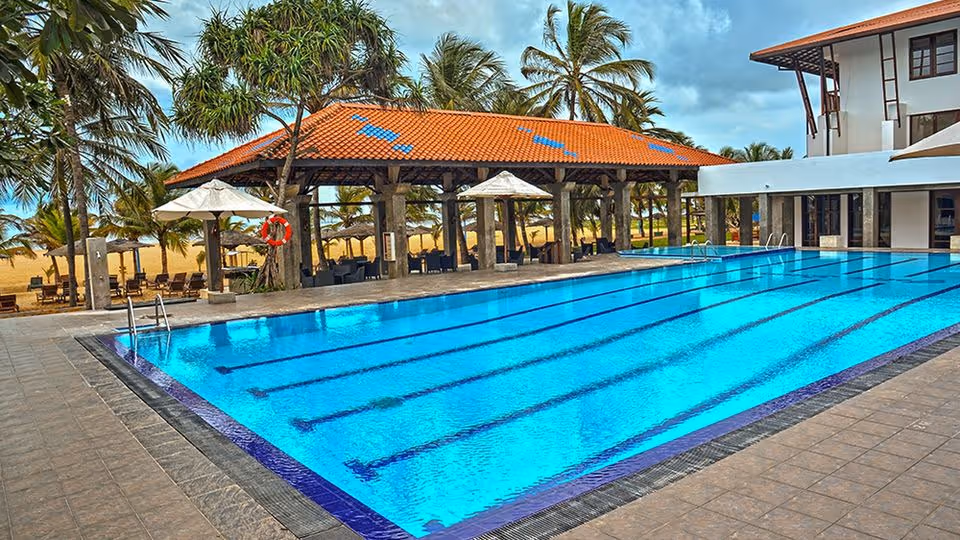 Sri Lanka z Wyżywieniem! 🇱🇰