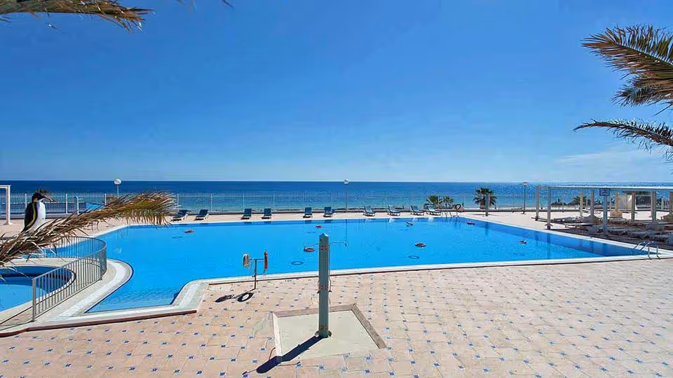 Wyjątkowy Tydzień w Tunezji! 🇹🇳