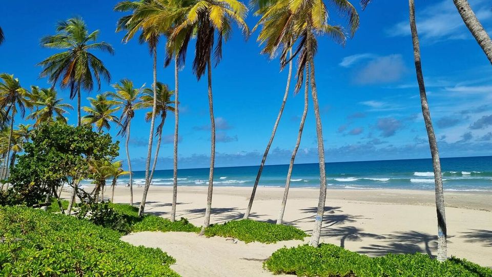 All Inclusive na Margarcie, Wenezuela! 🇻🇪