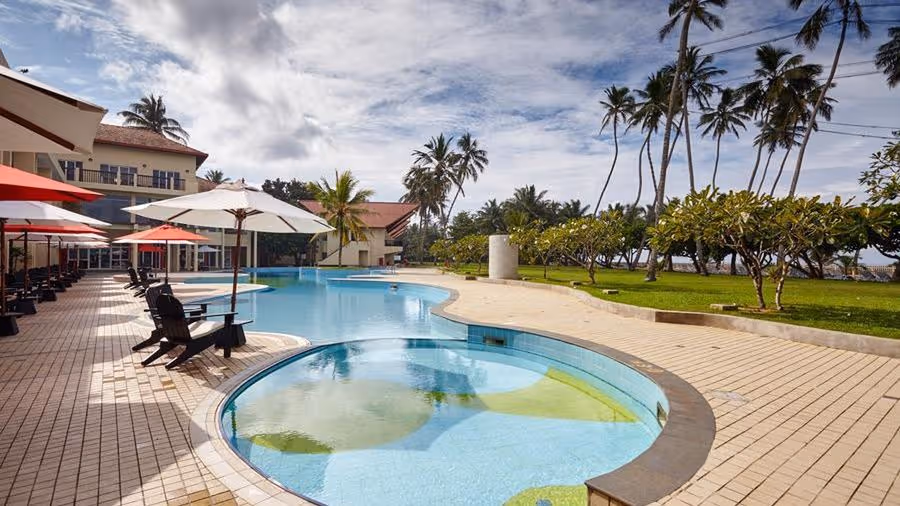 Październik: Sri Lanka All In! 🇱🇰