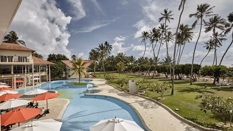 Październik: Sri Lanka All In! 🇱🇰