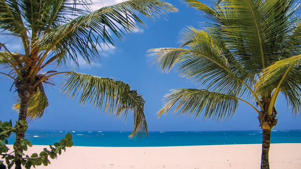 Kwiecień/Maj 2026: All Inclusive na Dominikanie! 🇩🇴