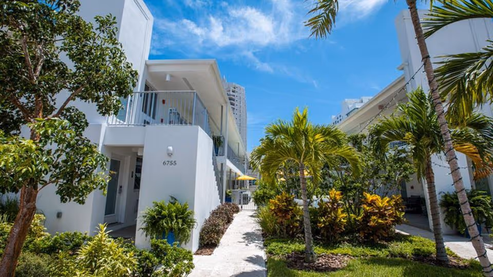 Listopad w Miami! 🇺🇸