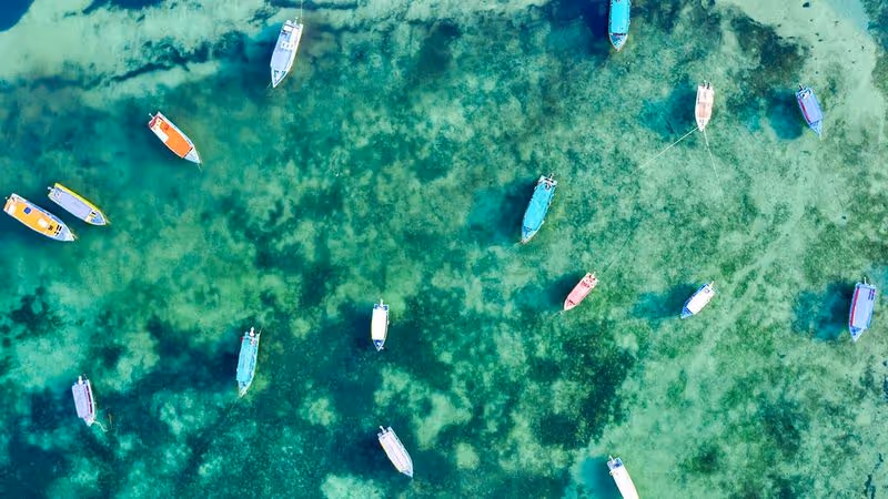 🐘 Kenia z All Inclusive na Horyzoncie! 🇰🇪