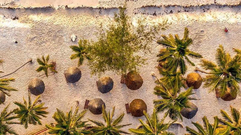 🐘 Kenia z All Inclusive na Horyzoncie! 🇰🇪