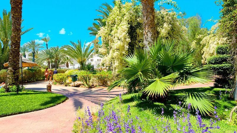 Djerba Resort w Midoun – All Inclusive z Katowic 🇹🇳