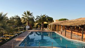 Spokojny Wypoczynek w Pinhal do Sol 🇵🇹