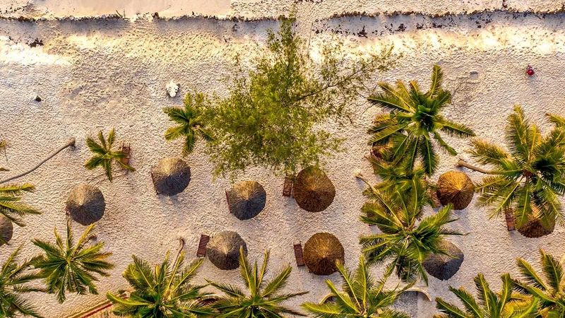 🇰🇪 Kenia: Afrykański Azyl z Wylotem z Trójmiasta