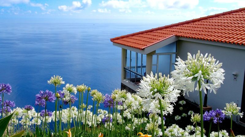 Zimowy Relaks w Prazeres, Portugalia 🇵🇹