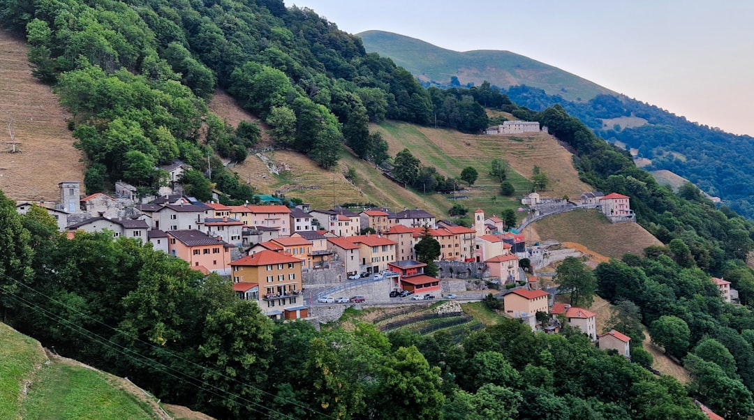 Small village nestled in a lush green mountainside.