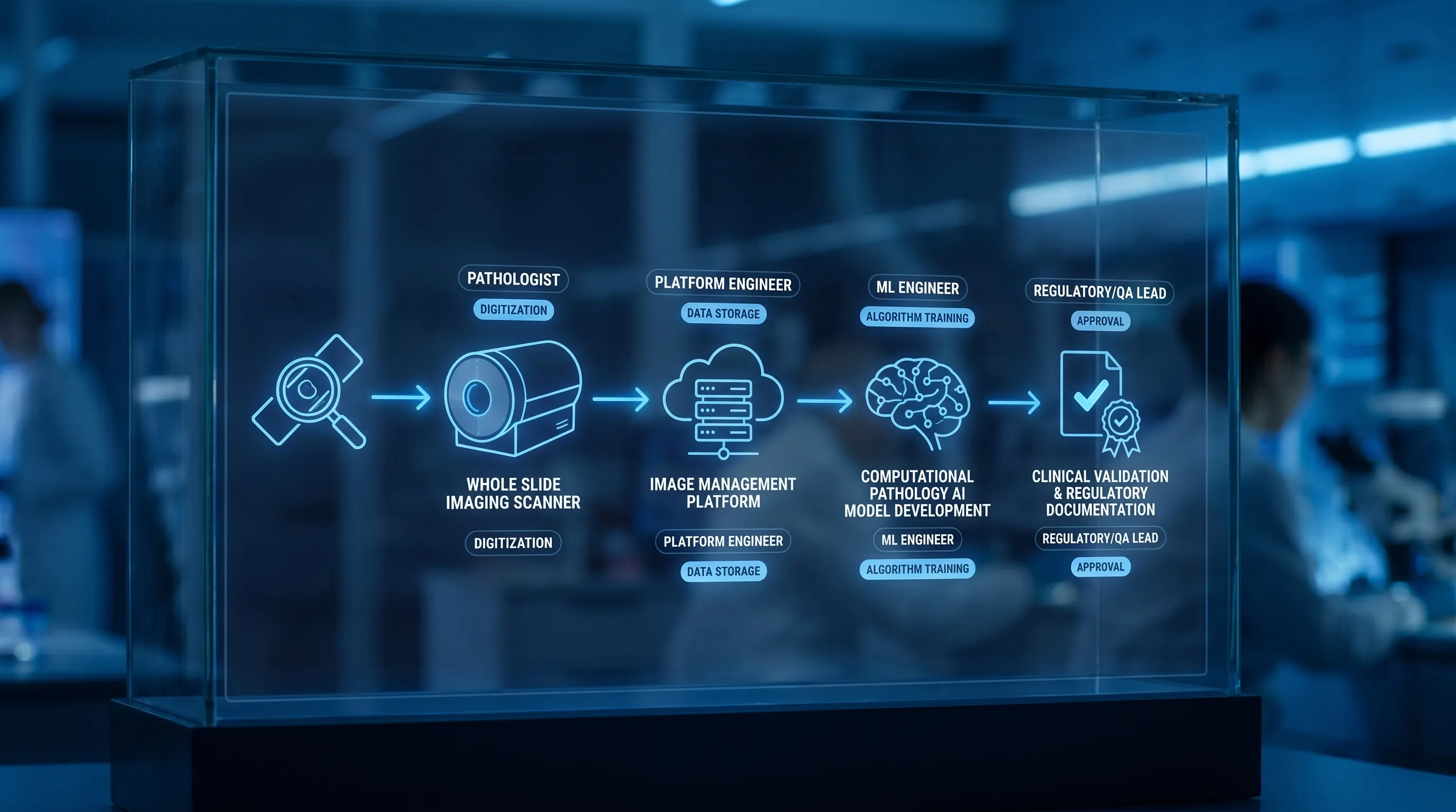 Ein vereinfachtes Diagramm, das den Workflow der digitalen Pathologie vom Glasobjektträger über den Whole-Slide-Imaging-Scanner zur Bildmanagement-Plattform, weiter zur Entwicklung von KI-Modellen für computergestützte Pathologie bis hin zu klinischer Validierung und regulatorischer Dokumentation zeigt; an jeder Stufe sind zentrale Rollen markiert (Patholog:in, Platform Engineer, ML Engineer, Regulatory-/QA-Lead).