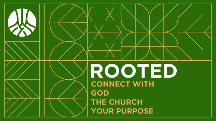 Rooted
