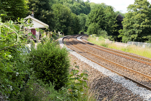 Gladys | Bath Elderly Care Services