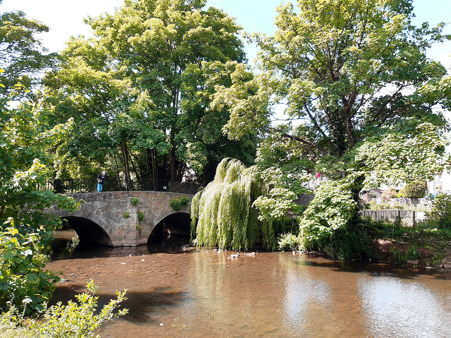 Gladys | Bath Elderly Care Services