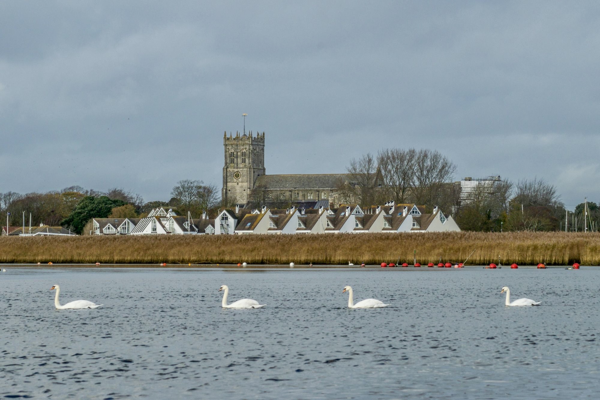 Gladys | Bath Elderly Care Services