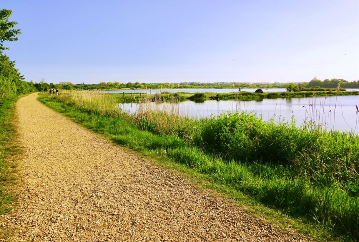 Gladys | Bath Elderly Care Services