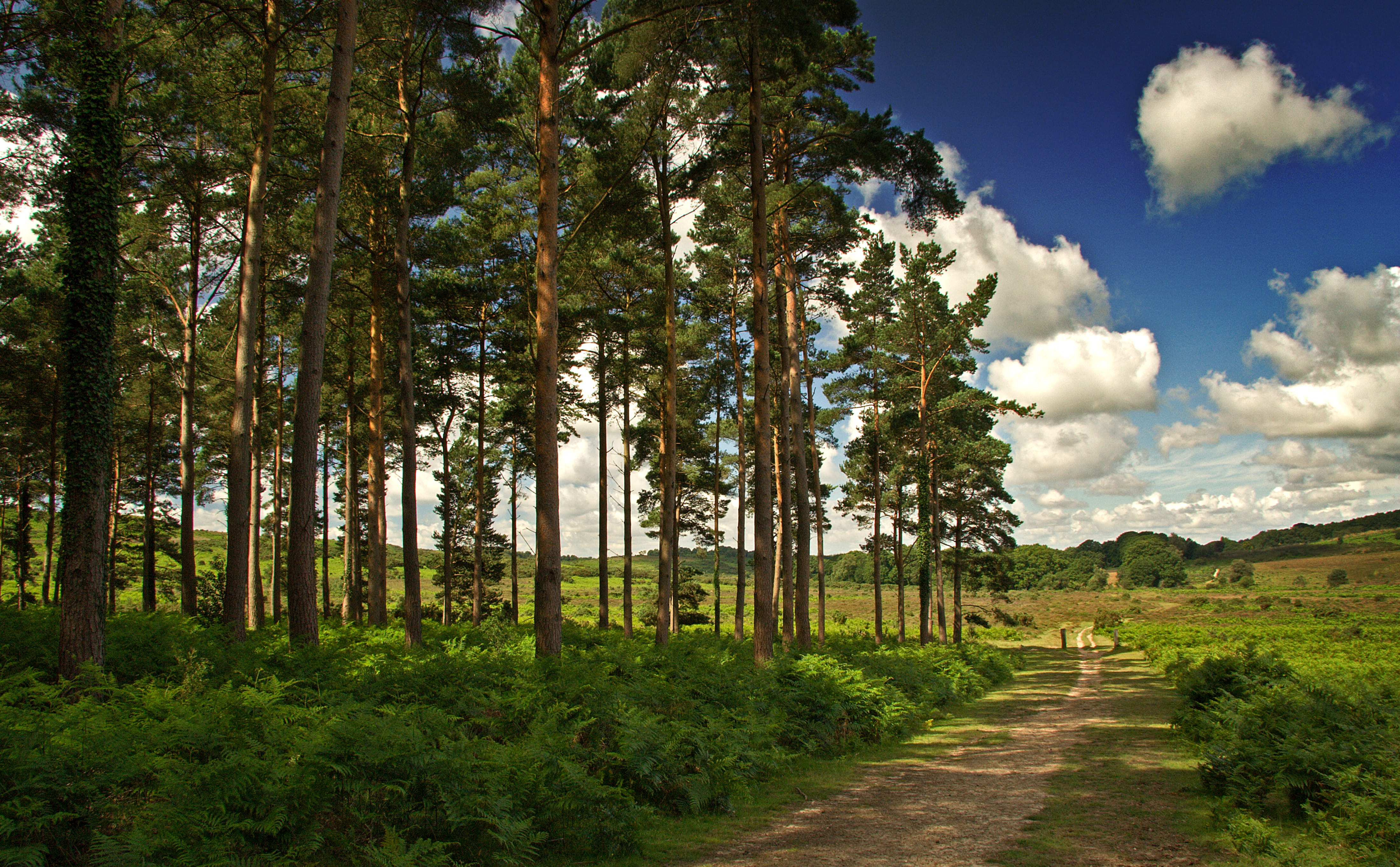 Gladys | Bath Elderly Care Services