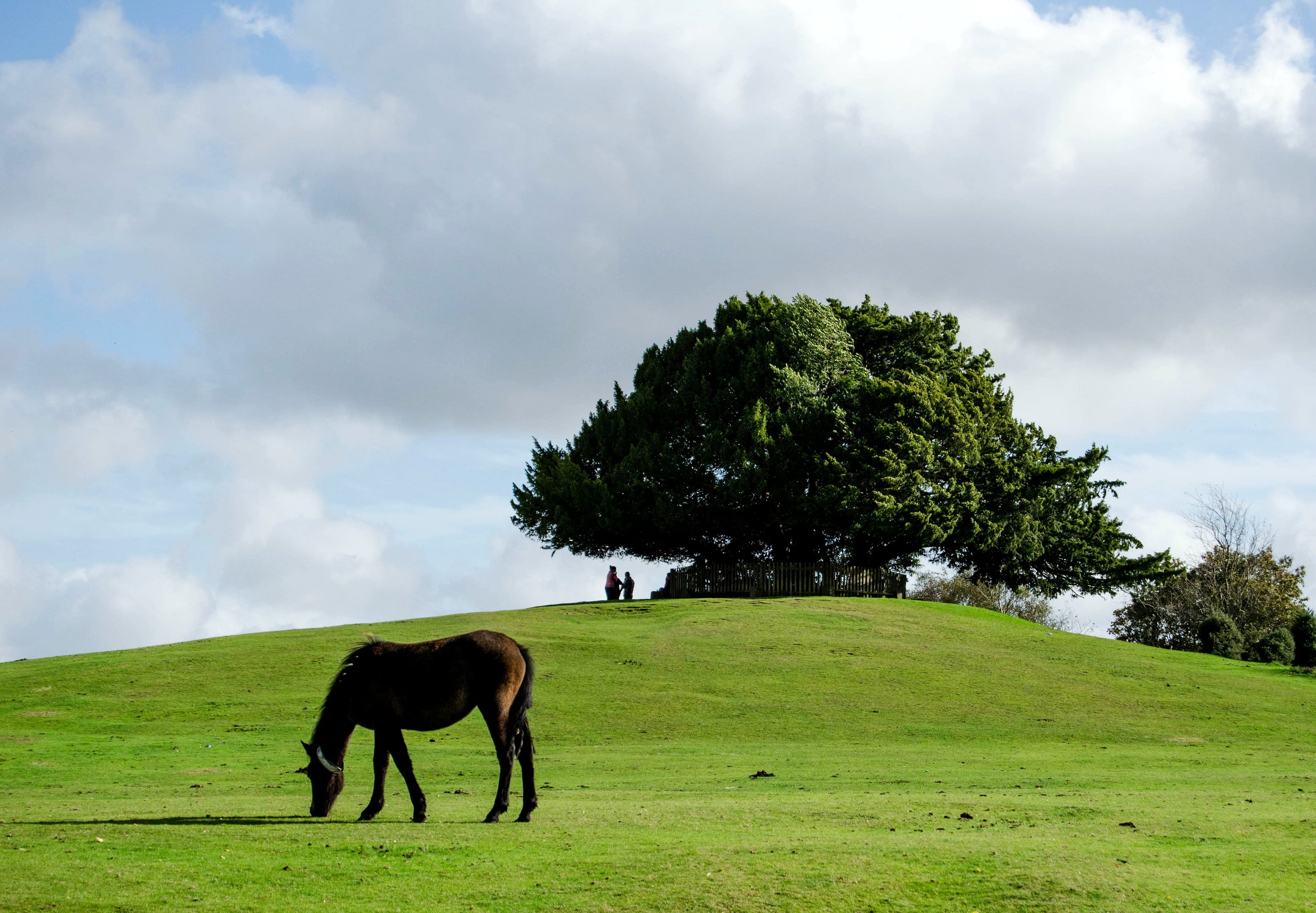 Gladys | Bath Elderly Care Services