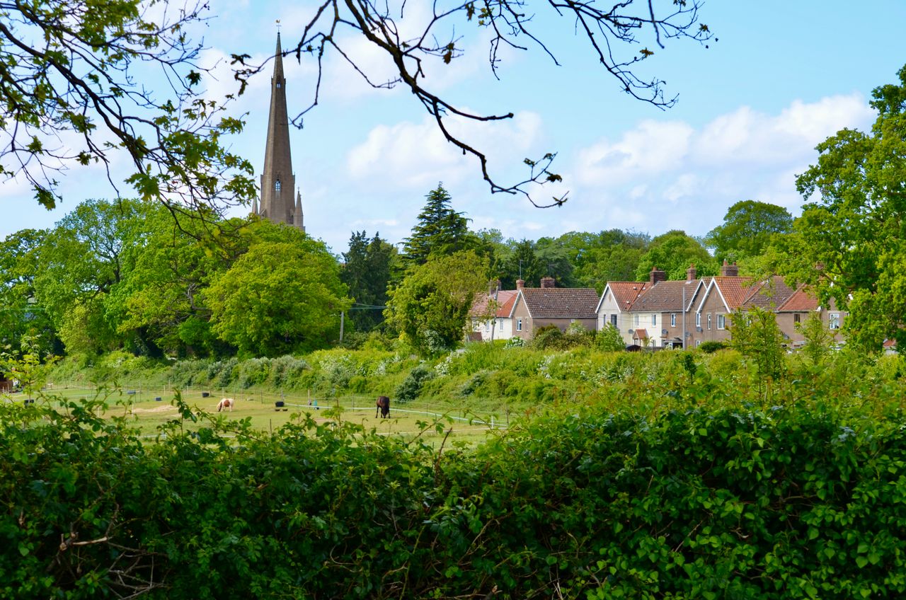 Gladys | Bath Elderly Care Services
