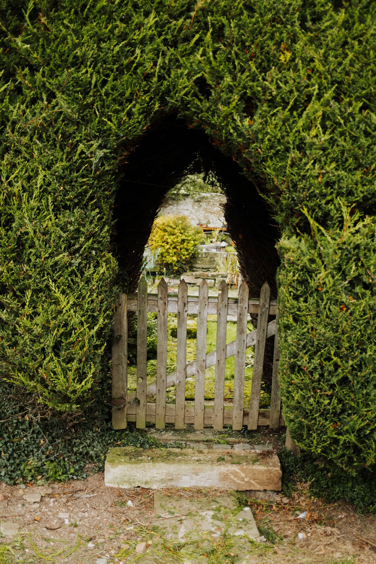 Gladys | Bath Elderly Care Services