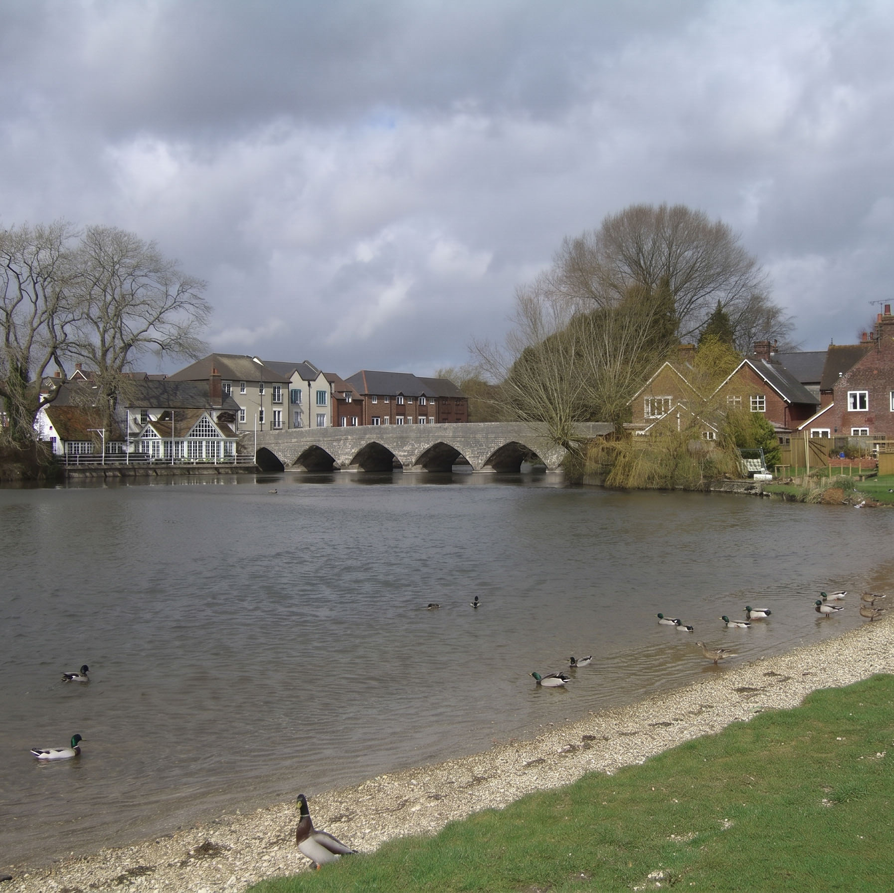 Gladys | Bath Elderly Care Services
