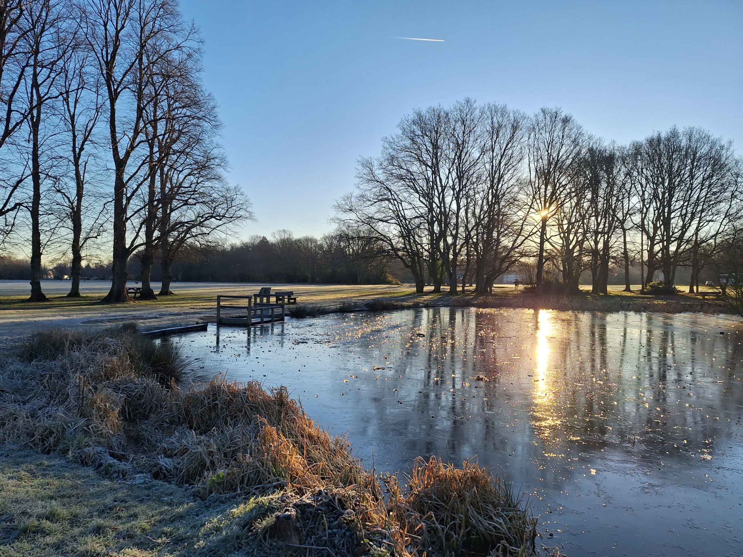 Gladys | Bath Elderly Care Services