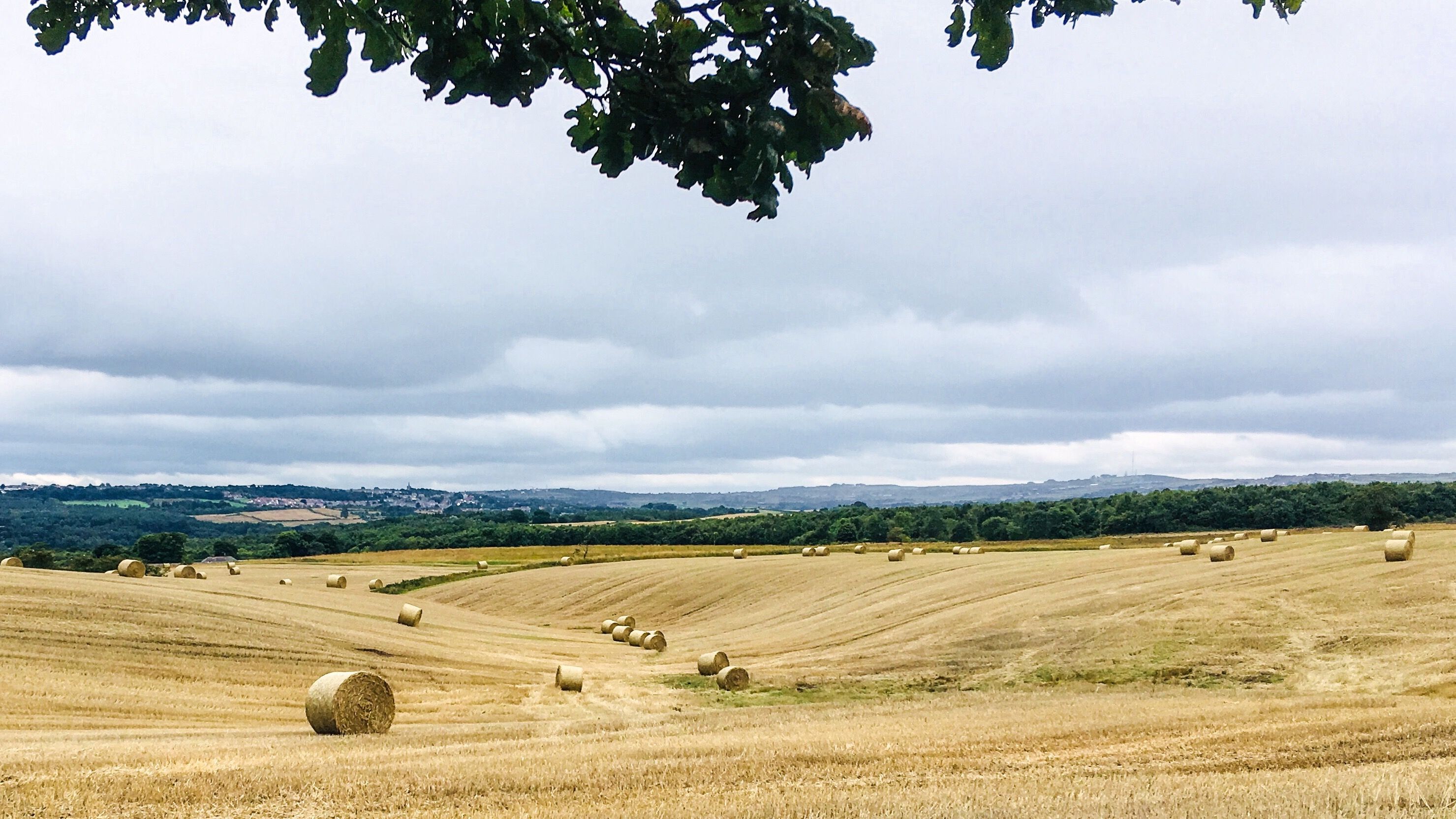 Gladys | Bath Elderly Care Services