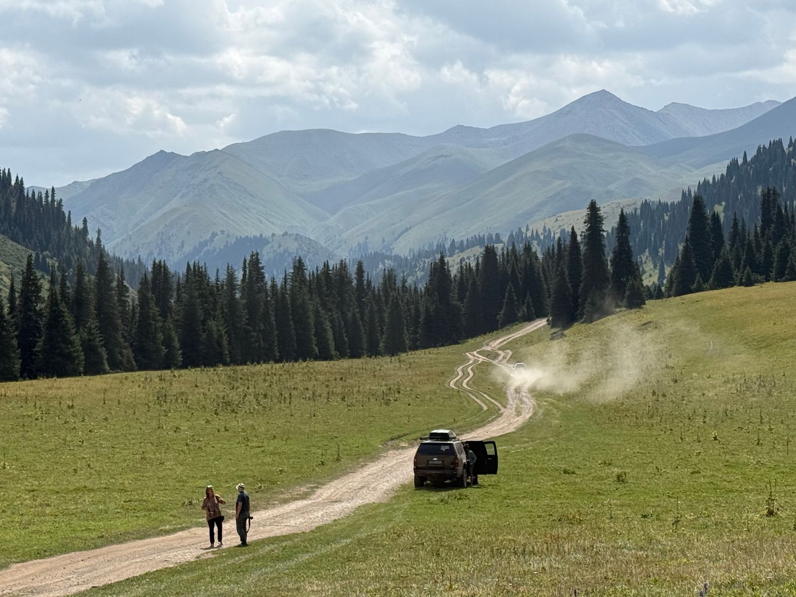 Eastern Paths 4x4 on a mountain track between fir forests and alpine meadows, Almaty region