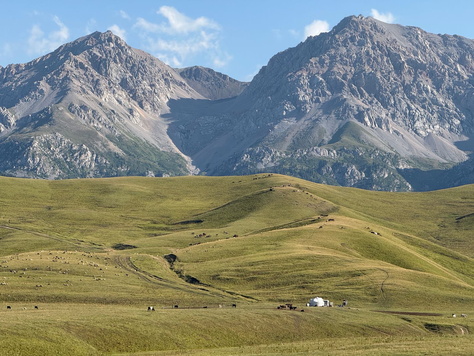 Green valley at the foot of the mountains, with herds and a yurt, Kazakhstan