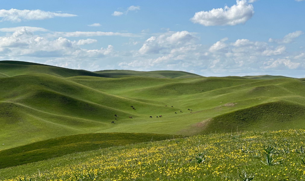 Le tourisme au Kazakshtan