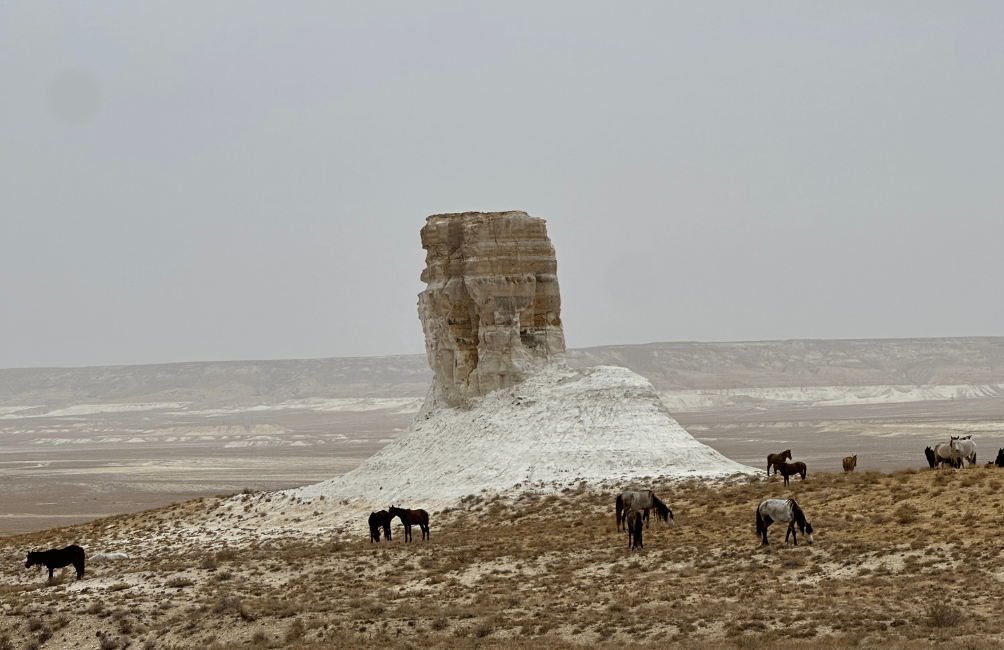 Desert of Kazakhstan
