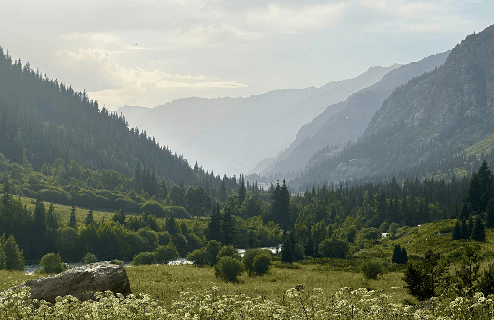 Summer in Kazakhstan