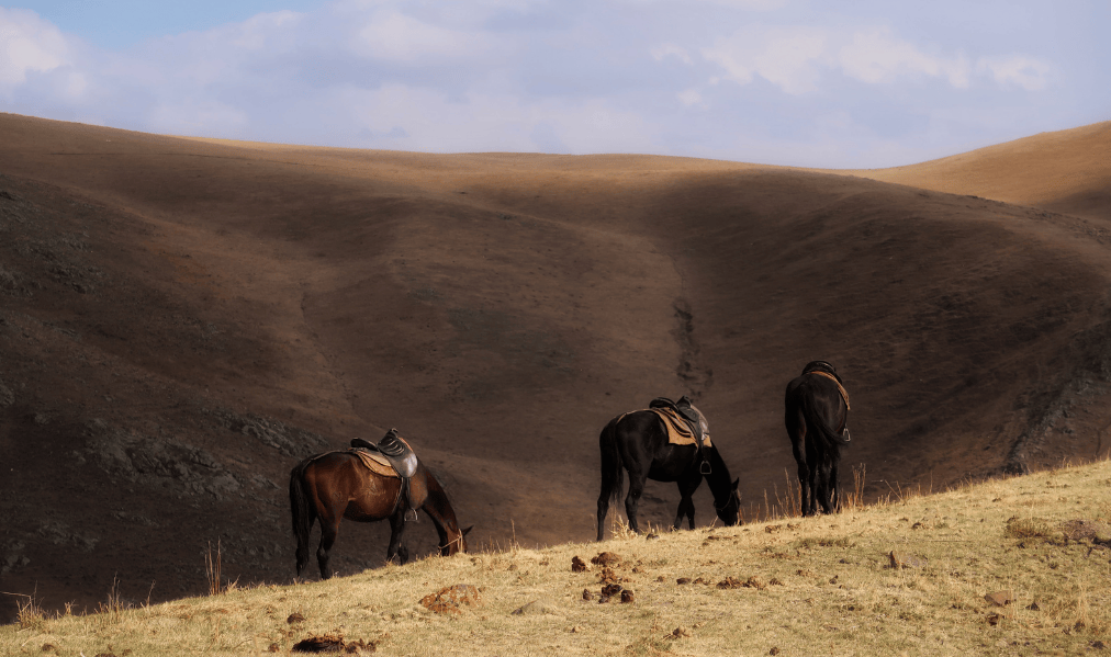 Horseback riding in Kazakhstan