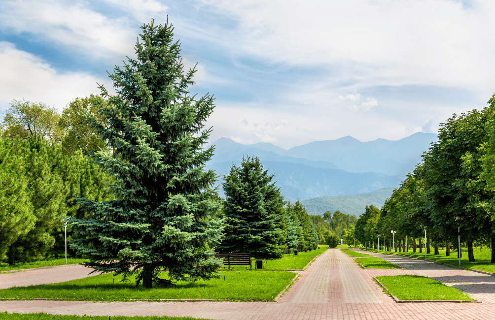 First President Park Almaty
