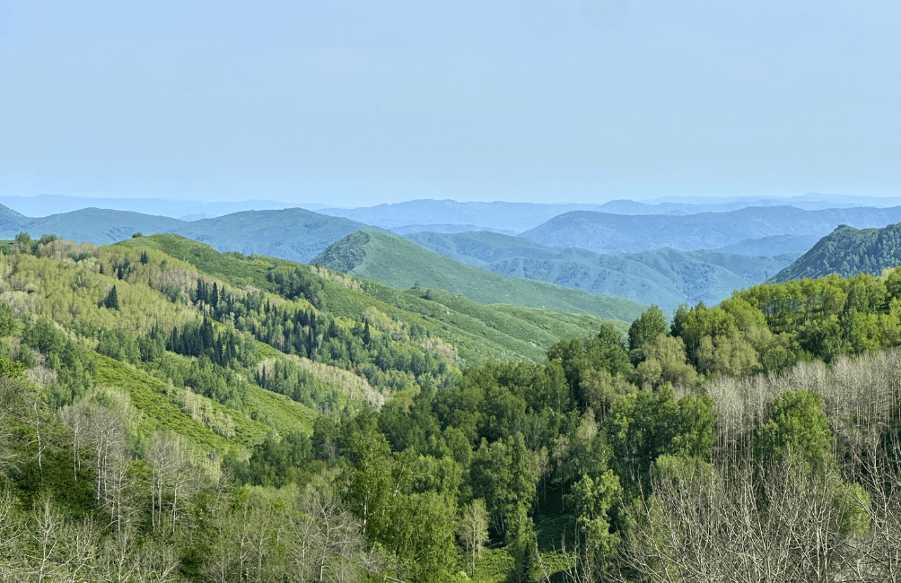 Altai Kazakhstan