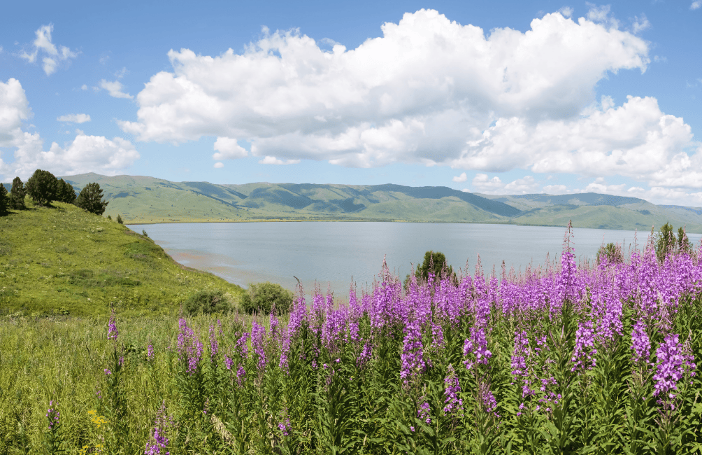 Altai Kazakhstan