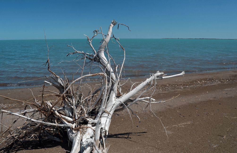 Lake Balkhash