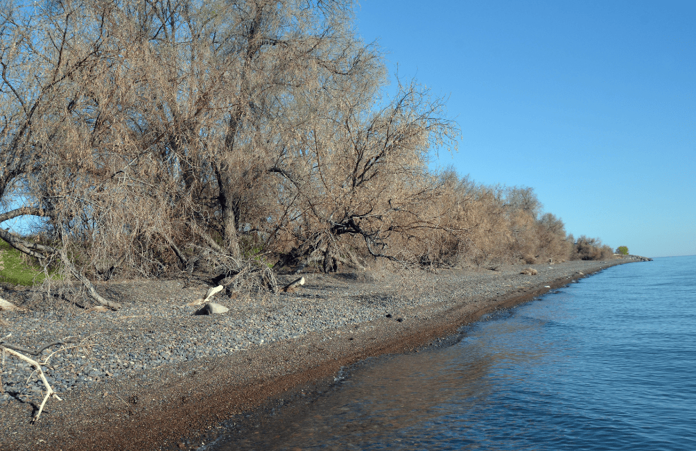 Lake Balkhash