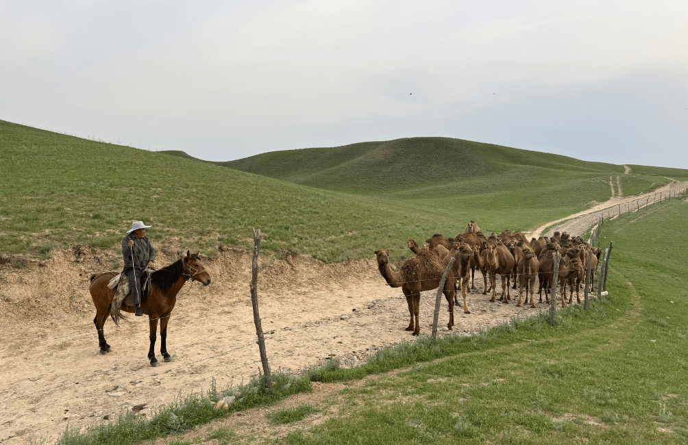 Rural Kazakhstan