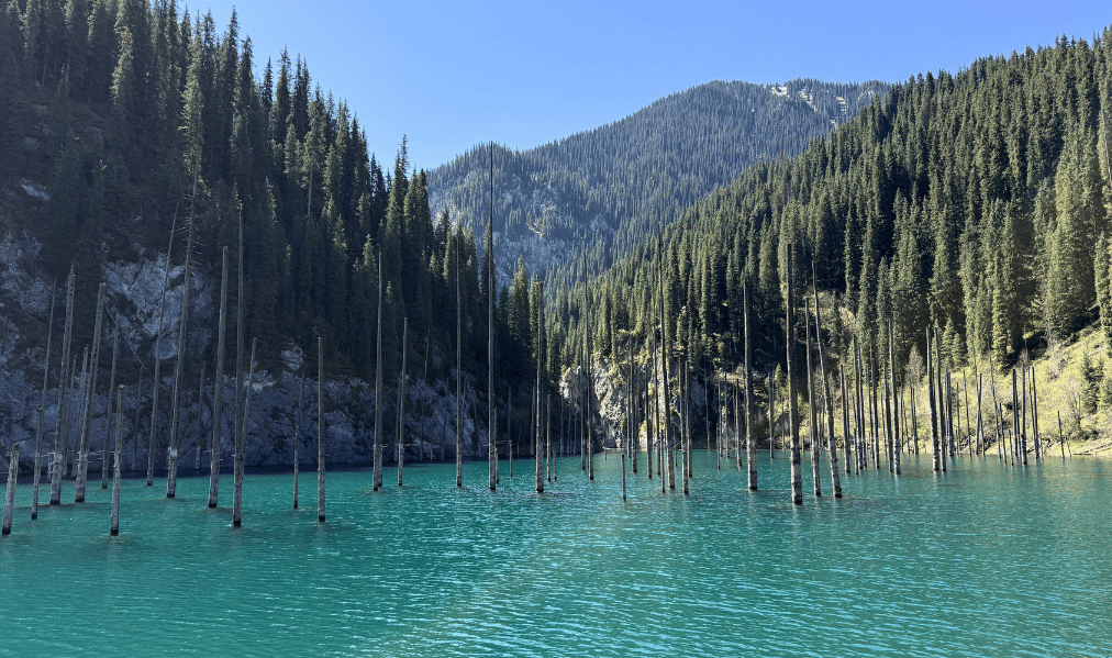 Le lac Kaindy et sa forêt engloutie