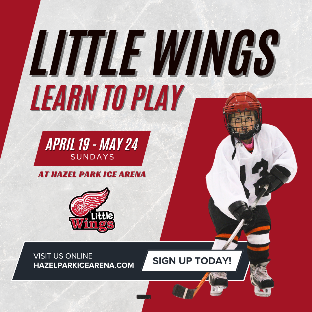 Little Wings - Learn to Play