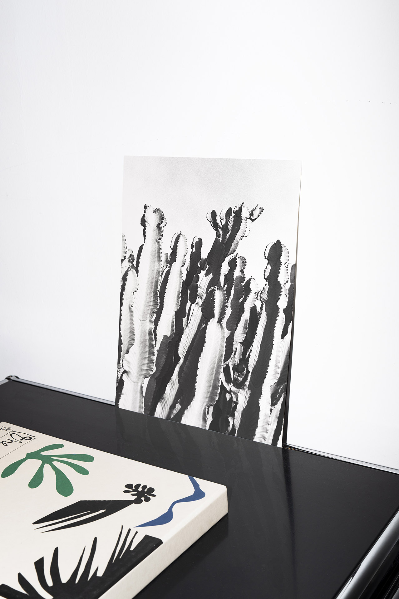 Cactus Premium Print