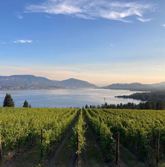 1 bed 1 bath legal suite in upper mission