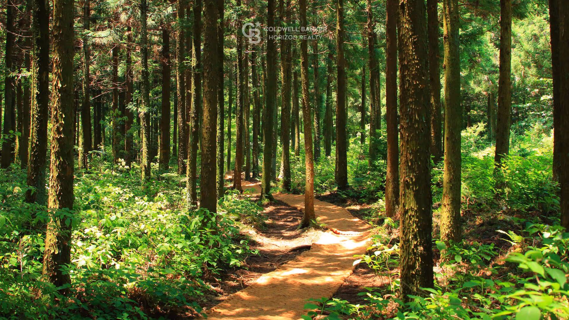 Staycation Every Day: Forest Bathing and Local Feasts in the Okanagan‍