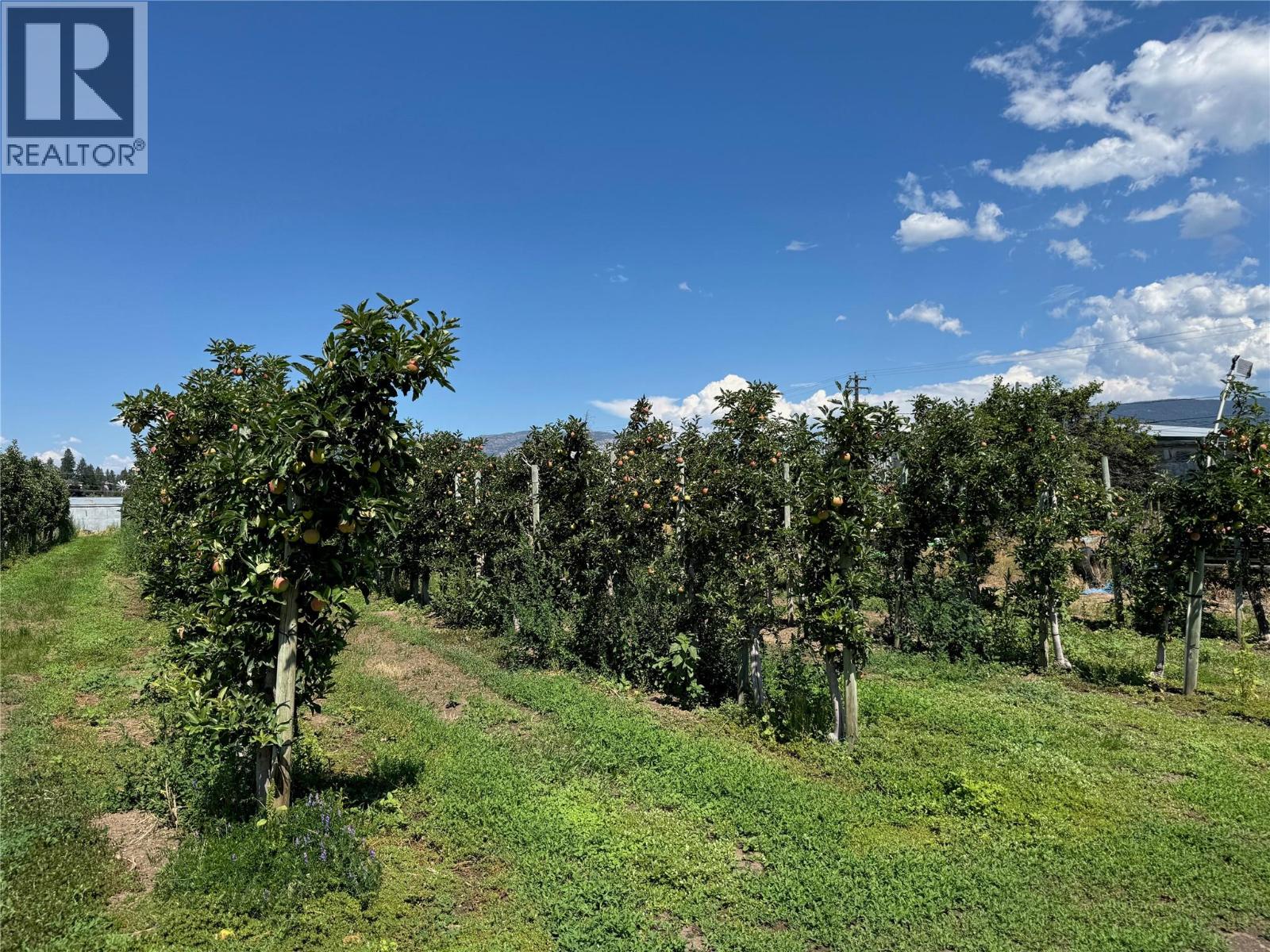 9105 Jones Flat Road