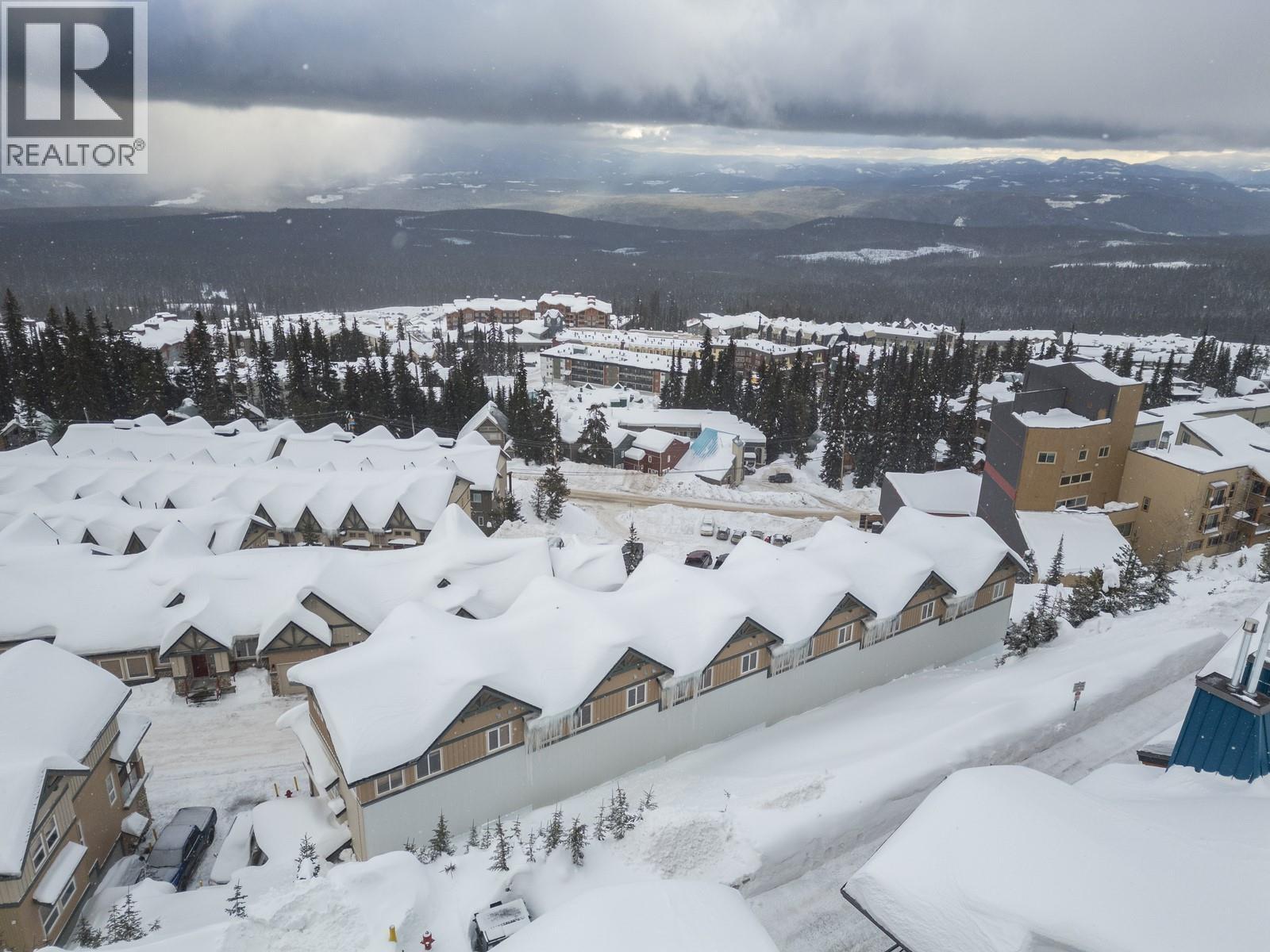 5335 Big White Road Unit# 401