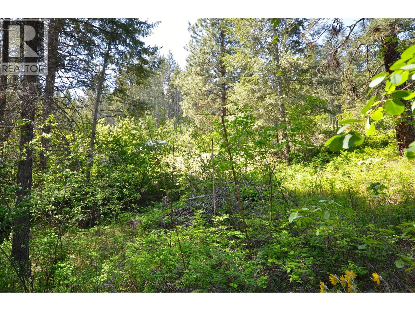 10713 Westshore Road