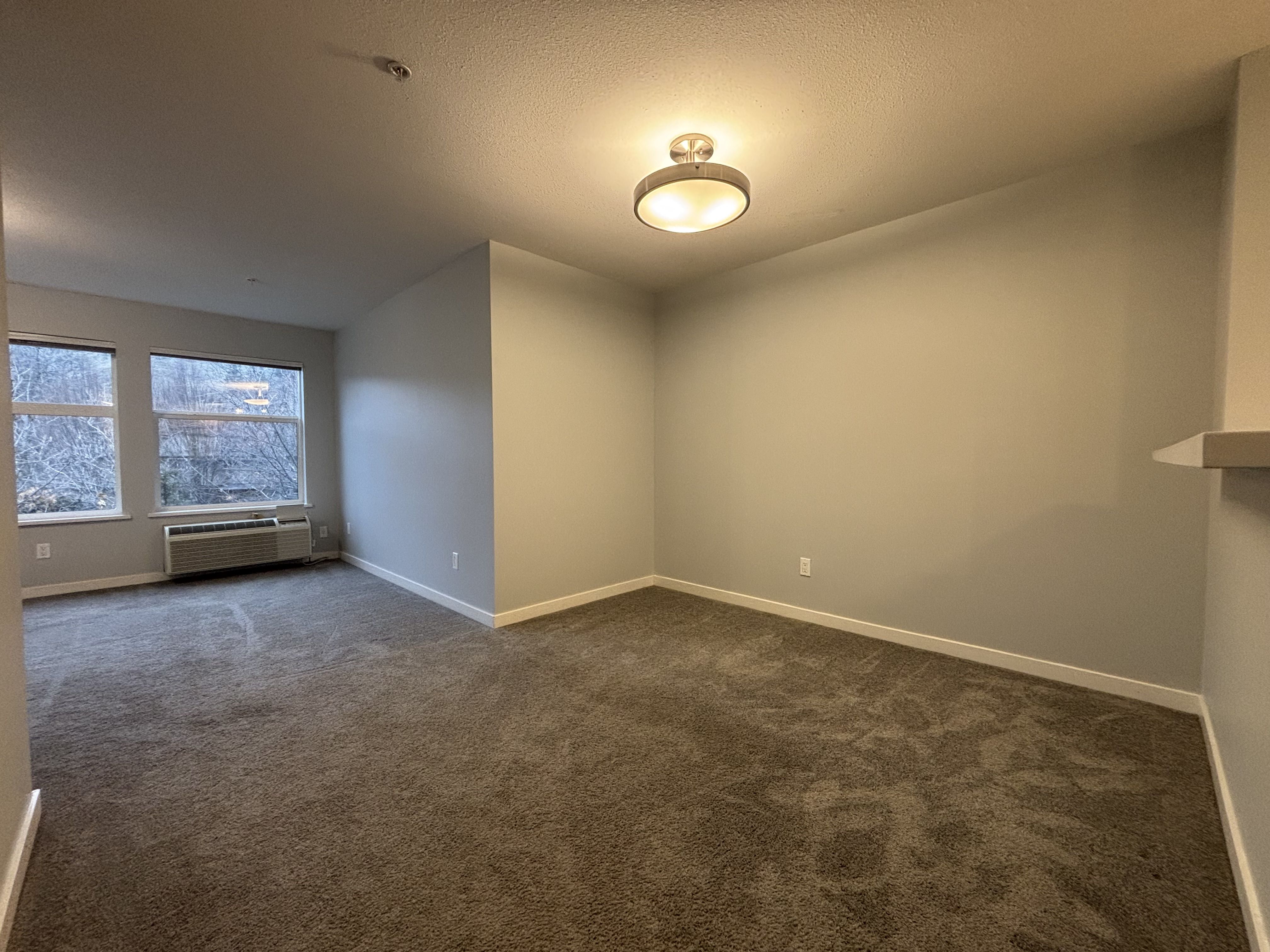 1 bed and den condo at the Verve