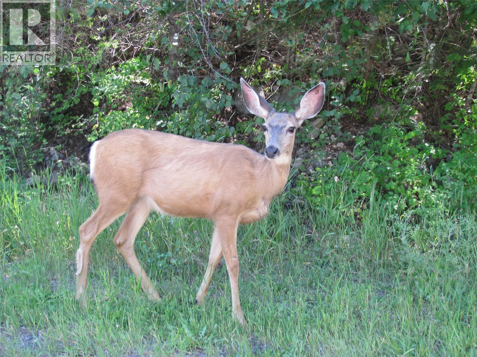 Crown Crescent Lot# 252